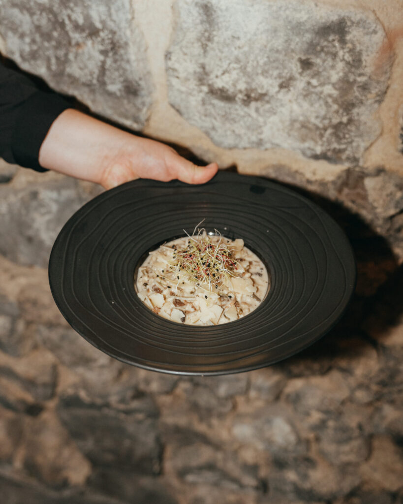 a7403604 1 scaled.jpg a7403604 1 scaled.jpg